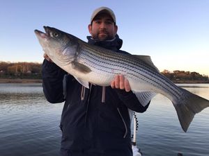 Striped bass fishing