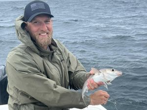 Saco Bay Fishing Report