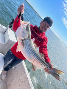 Cast and Catch: Texas Fishing