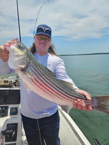 Angler's Dream: Texas Fishing