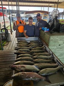Guided Striped Bass Trips