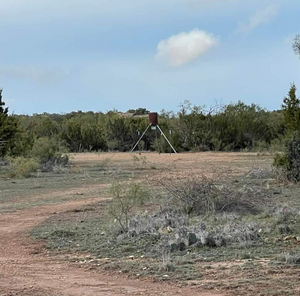 Private Land Hunting In Texas