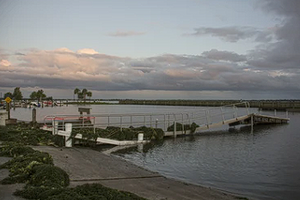 Things To Do in Lake Toho