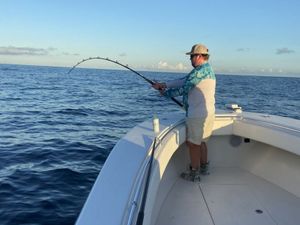 Charleston fishing: Cast your worries away!