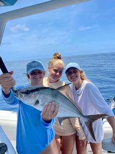 An amberjack for the girlies. 