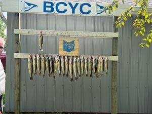 Good bite for the 250th
