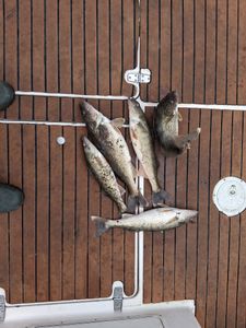 First trip of the year!