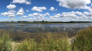 Top Things to Do in Saginaw Bay