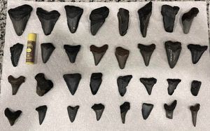 Kicking Off 2024 on the Water in Carrabelle