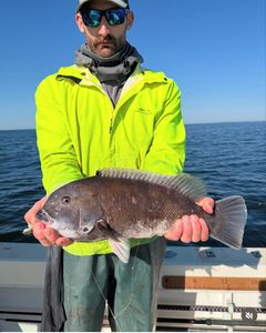 2025 Season Opens With Eight Keeper Tautog