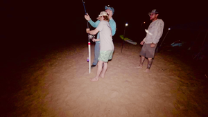 Jersey Shore Bull Shark Action - South Jersey Summer Surf Fishing