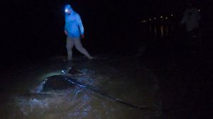 Stingray Fishing in Cape May, New Jersey
