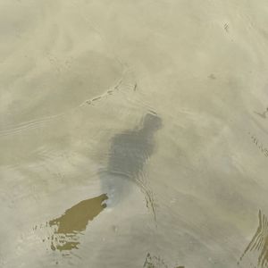 Fishing Report on mid day 28th Jun, 2025