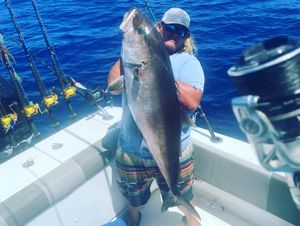 Amberjack Reel