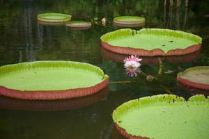 Top Things to Do in Miami, Florida