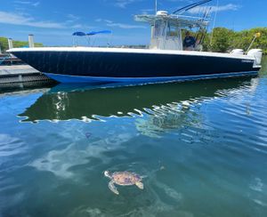 A Sea Turtle Start to a Perfect Day on the Water 🐢🌊