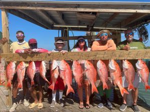 Snapper Season Success and Late Season Duck Transitions