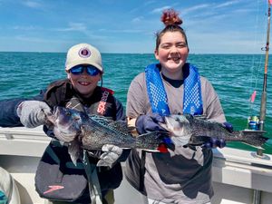 Striped Bass Are Running Strong As We Gear Up For Summer