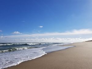 Beyond the Tides: Top Must-Visit Spots in Cape Cod, MA