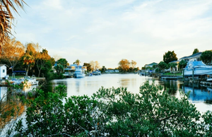 Things To Do In Hernando FL