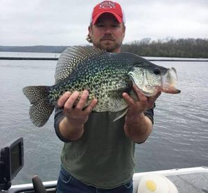 Solid Average Catch Filled Today’s Limit