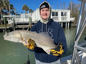 Redfish from Cape Coral fishing