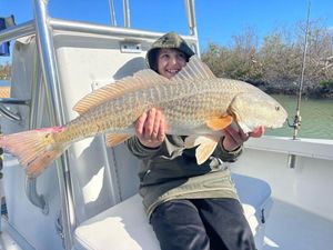 Huge Redfish from Cape Coral!