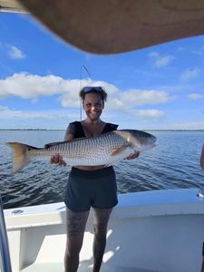 Hot Water, Hot Bites: Recent Trips and Redfish Action