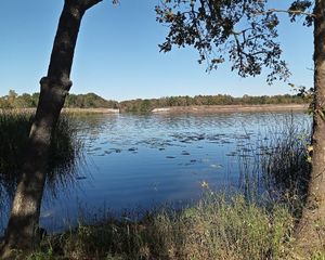 Top Things to Do in Lake Fork