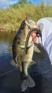 Technical Everglades Outing! 