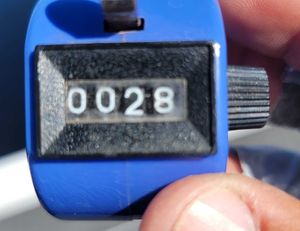 Sunny Blue Bird Sky Outing!