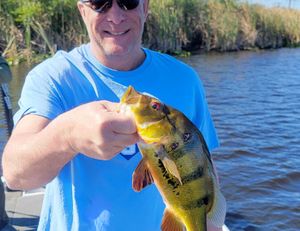 Fun day of bass fishing in the Everglades 