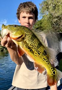 Family Miami Peacock Bass Trip 