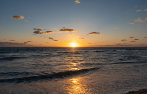 Things To Do In Melbourne FL