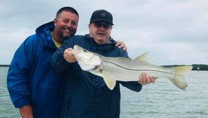 Storm snook showing up, bite still active