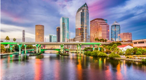 Things To Do In Tampa Bay