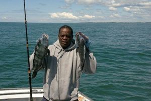 Cape Cod Fishing Report