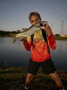 Tampa Winter Fishing Variety Is Heating Up