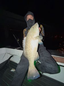 Blessed Tampa Fishing Moments Await 2026