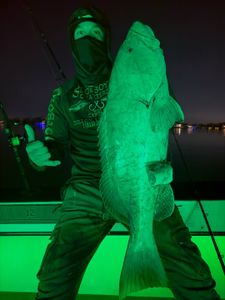 Heavy Leader, Big Fish Payoff