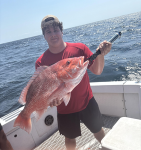 Pensacola Inshore: Red Snapper Bonanza on Clear Summer Day