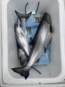 Unforgettable Fishing Adventure in Olcott, NY with Redemption Charters