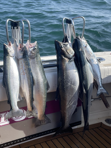 Angling Excitement on Lake Ontario: A Thrilling Fishing Odyssey