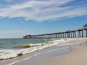 Things To Do in Dauphin Island