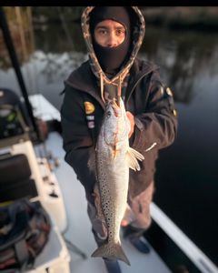 Evening thump session