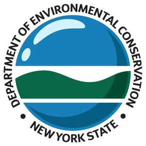 New York Fishing License Information for Travelers and Anglers