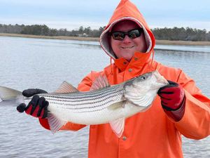 Fall Striped Bass fishing in Cape May!