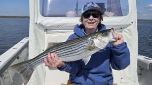 Solid Morning on the Water