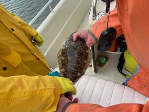 Tagging Flounder off Avalon