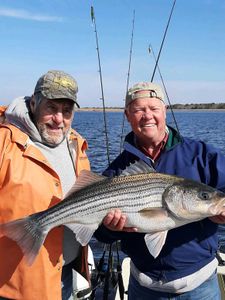 back country shallow striper fishing today